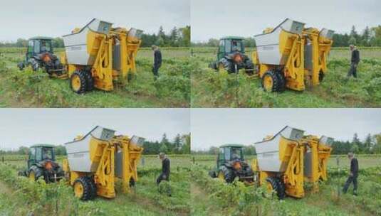 从葡萄藤上摘葡萄的机器高清在线视频素材下载