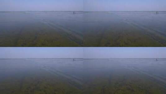 拆围后的湖区生态环境广角航拍高清在线视频素材下载