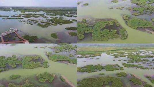 银川沙湖景区航拍高清在线视频素材下载