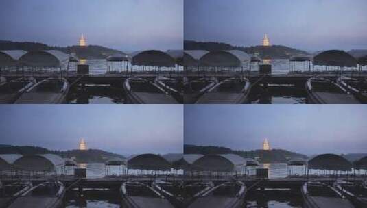 夜晚西湖风景区游船码头和雷峰塔夜景高清在线视频素材下载