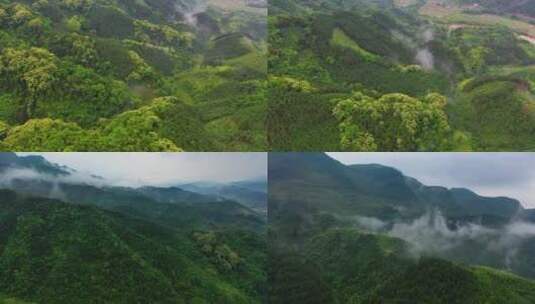 航拍清远阳山黄坌悬崖公路雨后春色高清在线视频素材下载