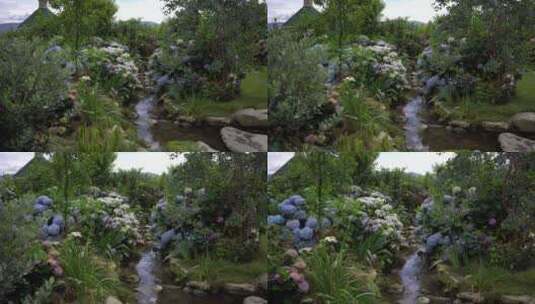 绣球花花园公园花园别墅花园景观高清在线视频素材下载