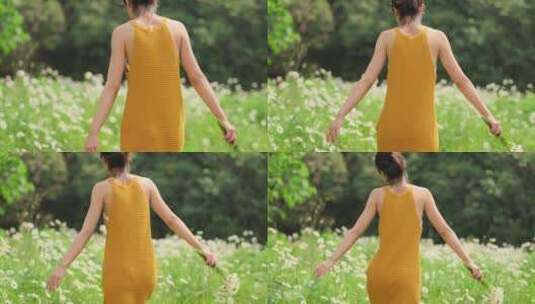 穿黄短裙身材苗条美女走鲜花草地的婀娜背影高清在线视频素材下载