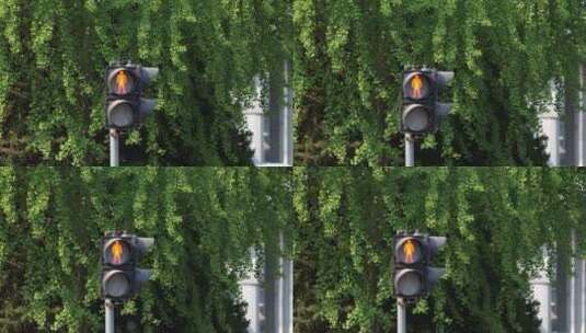 4k城市交通红绿灯人流车流高清在线视频素材下载