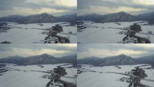 原创 日本北海道雪原自然风光航拍高清在线视频素材下载