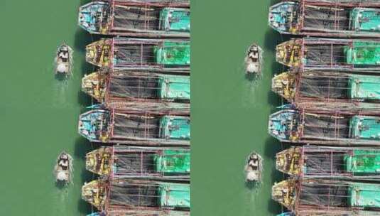 航拍广西北海北部湾海洋渔港渔船穿梭4k高清在线视频素材下载