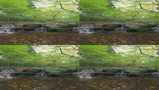 杭州九溪瀑布流水溪流秋季枫叶高清在线视频素材下载