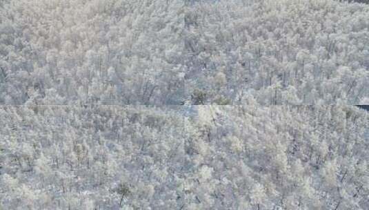 零下40度的低温航拍大兴安岭冰雪雾凇高清在线视频素材下载