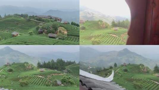 旅游时去广西的柳州三江仙人山布央茶山采茶高清在线视频素材下载