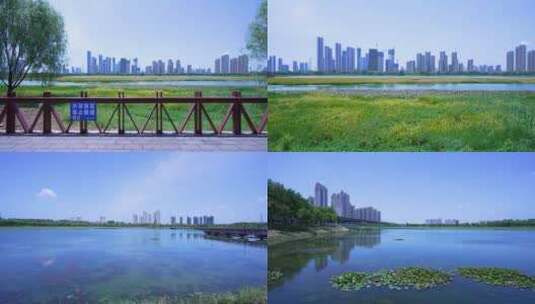 武汉洪山杨春湖城市生态公园4K视频合集高清在线视频素材下载
