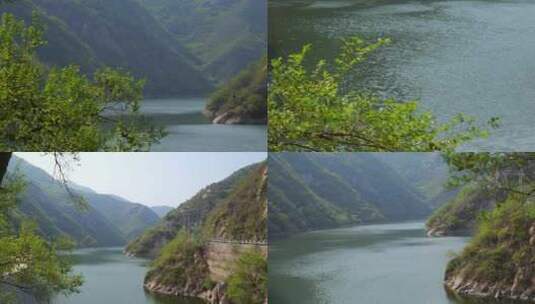 水青苔山泉水流水滴水风景森林自然大自然水高清在线视频素材下载