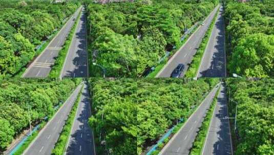 【正版素材】公路驾驶高清在线视频素材下载