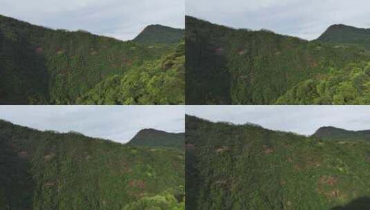 航拍中国福建武夷山美丽风景高清在线视频素材下载