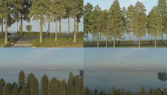 航拍武汉东湖绿道晨跑远景高清在线视频素材下载