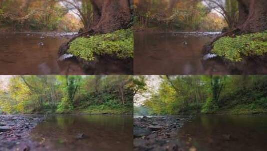 秋季森林河流流水延时摄影小河流水高清在线视频素材下载