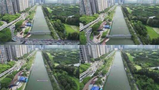 深圳大沙河端午节龙舟比赛高清在线视频素材下载