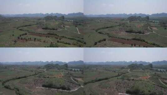 广西大面积甘蔗种植基地航拍高清在线视频素材下载
