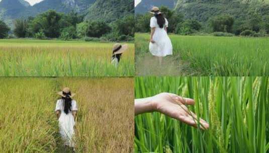 年轻少女行走在美丽田野一望无际的金色水稻高清在线视频素材下载