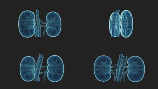 肾脏全息影像效果图3D渲染高清在线视频素材下载