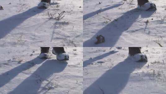 雪地徒步行走特写高清在线视频素材下载