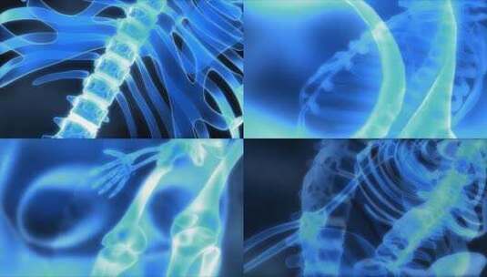 人体脊椎及其骨骼高清在线视频素材下载