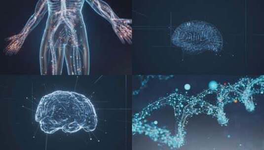 原创人工智能全息智慧人体大脑DNA心脏高清在线视频素材下载