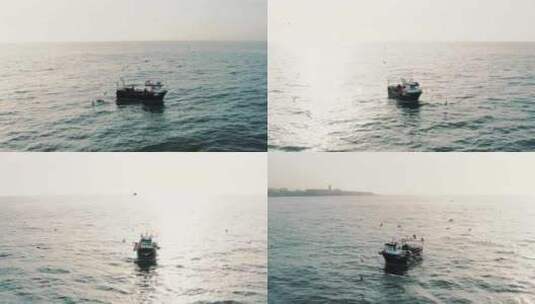 日落时分，一群鸟飞过海岸附近的一艘渔船高清在线视频素材下载