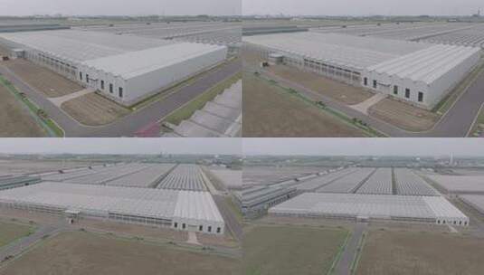 航拍大型蔬菜大棚基地高清在线视频素材下载