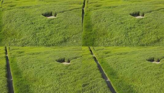 二里头夏都遗址博物馆高清在线视频素材下载