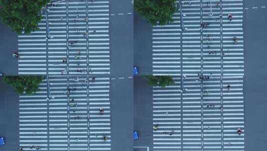 俯瞰行人通过斑马线画面高清在线视频素材下载