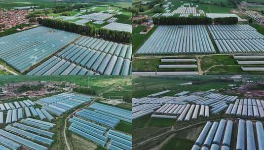 航拍新农村大棚连片种植区 设施农业高清在线视频素材下载