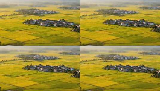 航拍乡村田野与民居景观高清在线视频素材下载