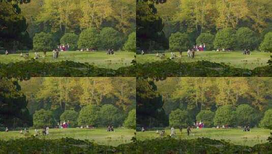 公园中人们休闲活动场景高清在线视频素材下载
