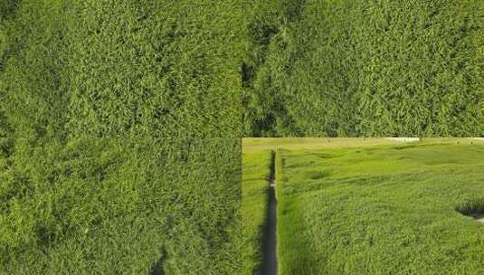 二里头夏都遗址博物馆高清在线视频素材下载