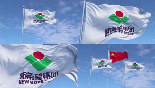 新希望集团高清在线视频素材下载