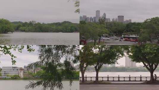 秋天季节风景花草绿植远景高清在线视频素材下载