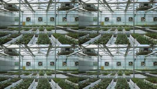智慧农业温室大棚种植现代科技视频高清在线视频素材下载