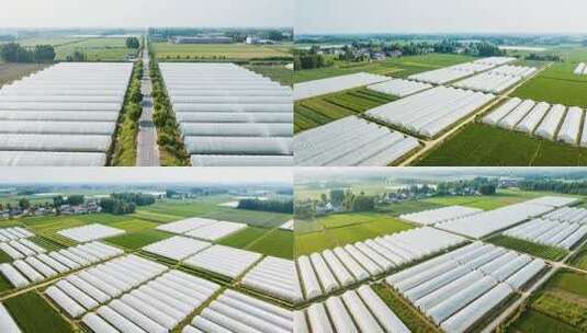 航拍农田蔬菜大棚场景高清在线视频素材下载