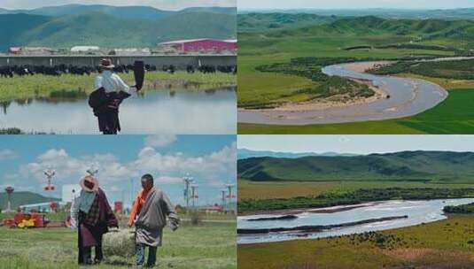 草原牛羊畜牧养殖甘孜阿坝高清在线视频素材下载