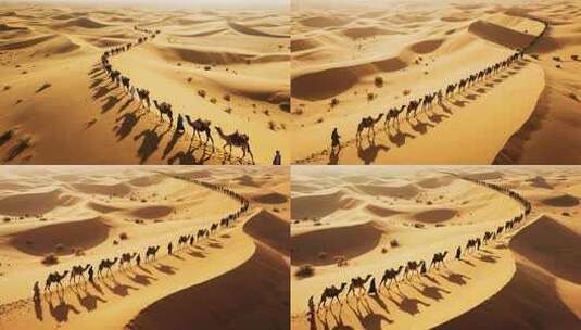 沙漠中的骆驼商队高清在线视频素材下载