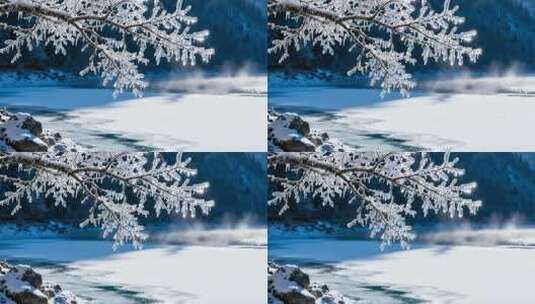 冬日结冰湖面旁覆雪树枝高清在线视频素材下载