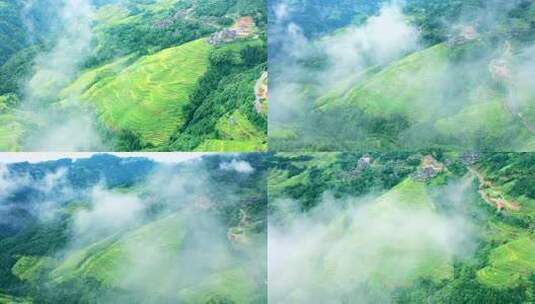 梯田云雾缭绕自然风光高清在线视频素材下载