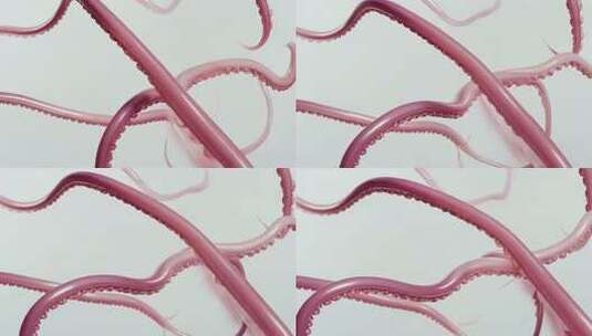 3D渲染章鱼触手画面高清在线视频素材下载