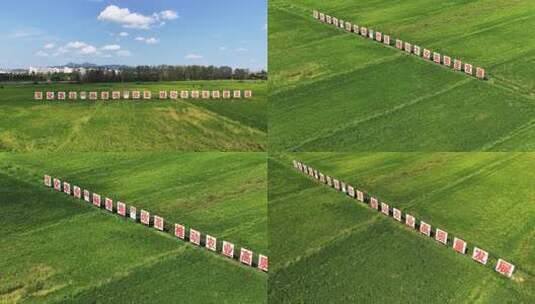 农业标准地改革三农宣传标语航拍多视角高清在线视频素材下载