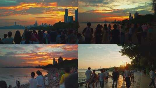 去深圳湾公园看浪漫日落晚霞合集高清在线视频素材下载