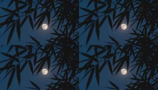 中秋竹影婆娑下的皎洁月光静谧夜空竹林赏月高清在线视频素材下载