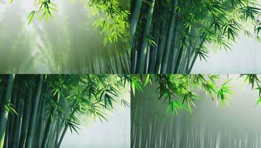 竹林晨雾唯美意境高清在线视频素材下载