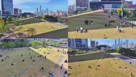 广州琶洲绿坡草坪休闲景观高清在线视频素材下载