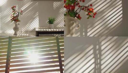 自然唯美写意光影高清在线视频素材下载