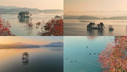 湖光水色候鸟南飞高清在线视频素材下载